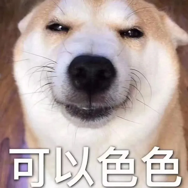 可爱的柴狗