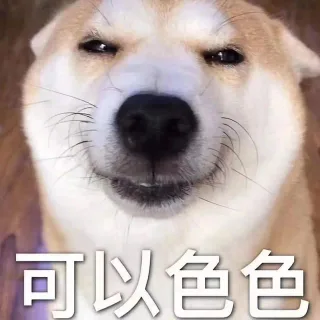 可爱的柴狗表情包