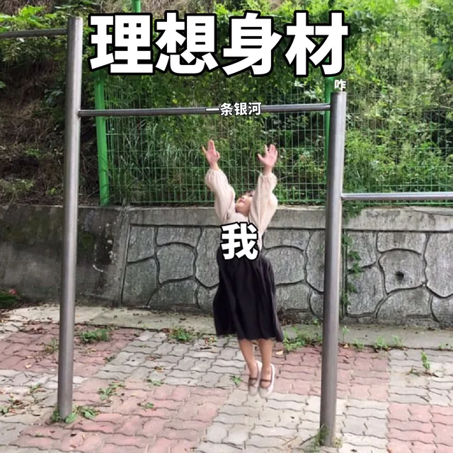 理想身材条银河我