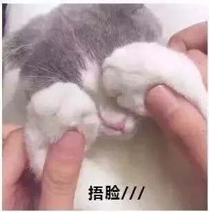 捂脸/（捂脸/）