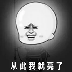 从此我就亮了_金馆长_表情头牌表情包