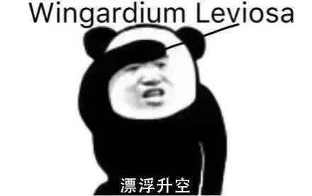 Wingardium Leviosa漂浮升空