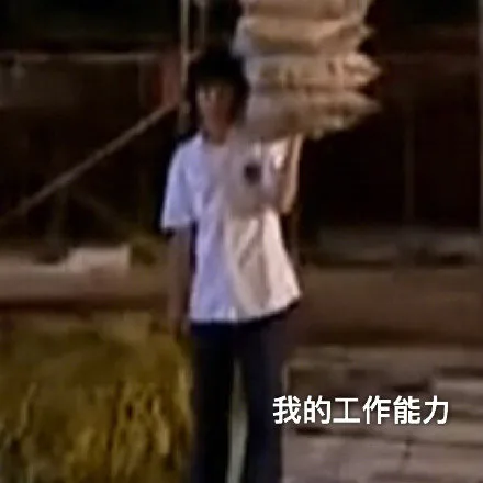 我真实的工作能力