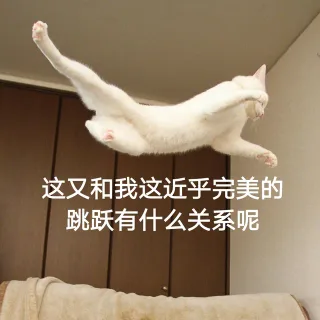 这又和我这近乎完美的跳跃有什么关系呢