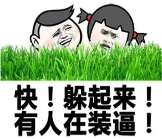 快！躲起来！有人在装逼！_金馆长_表情头牌表情包