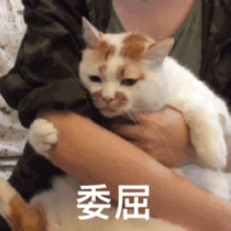 要摸摸（要摸摸）