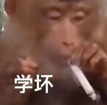 学坏（学坏）
