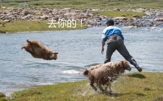 去你的！