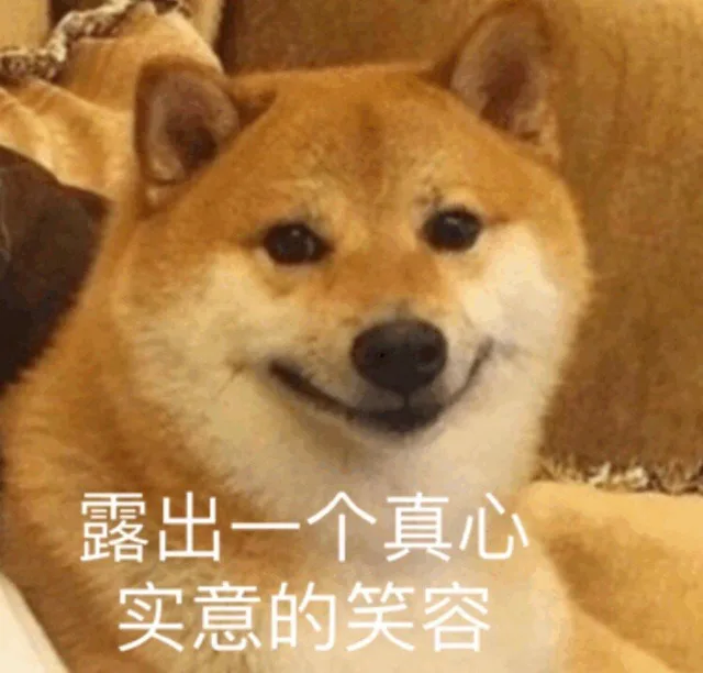露出一个真心实意的笑容（露出一个真心实意的笑容）