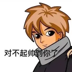 对不起帅到你了（对不起帅到你了）