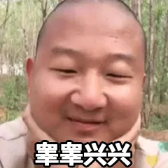 睾睾兴兴（高高兴兴）