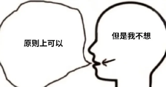 但是我不想原则上可以