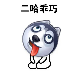 二哈乖巧
