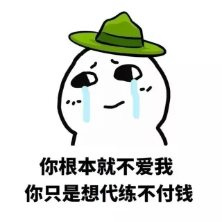 你根本就不爱我你只是想代练不付钱