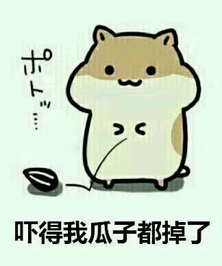 吓得我瓜子都掉了