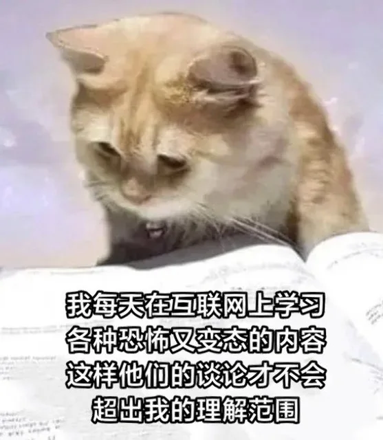 我每天在互联网上学习各种恐怖叉变态的内容这样他们的谈论才不会超出我的理解范围（我每天在互联网上学习各种恐怖叉变态的内容这样他们的谈论才不会超出我的理解范围）