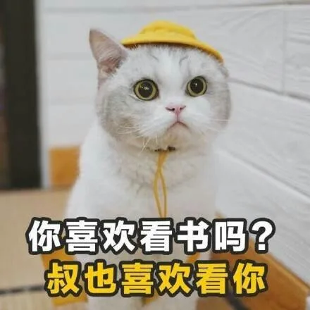 土味情话合集_猫咪_撩妹撩汉表情包