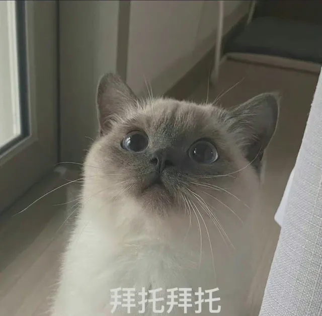 拜托拜托