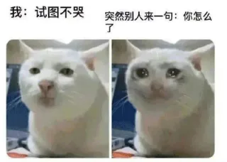 我：试图不哭突然别人来一句：你怎么了