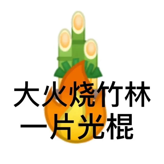 大火烧竹林片光棍