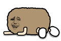 落叶。。。