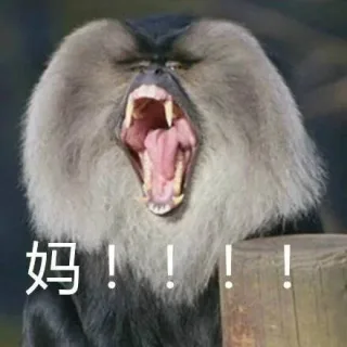 妈！！！（猴子）