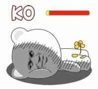 KO，菊花残