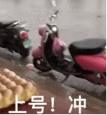上号!冲（上号!冲）