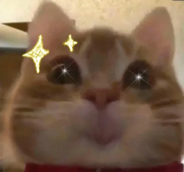 (猫猫表情包)（(猫猫表情包)）