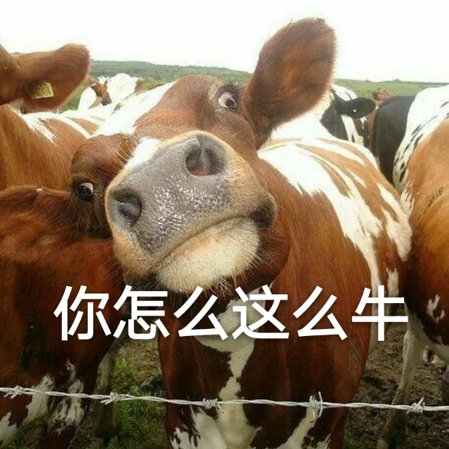你怎么这么牛（你怎么这么牛）