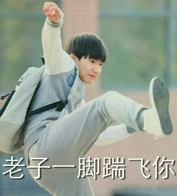 老子一脚踹飞你（王源表情包）
