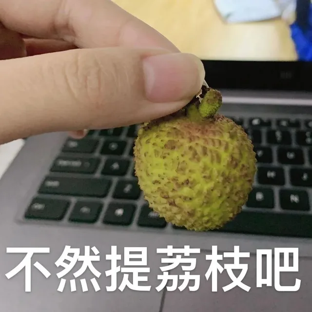 不然提离职吧 提荔枝