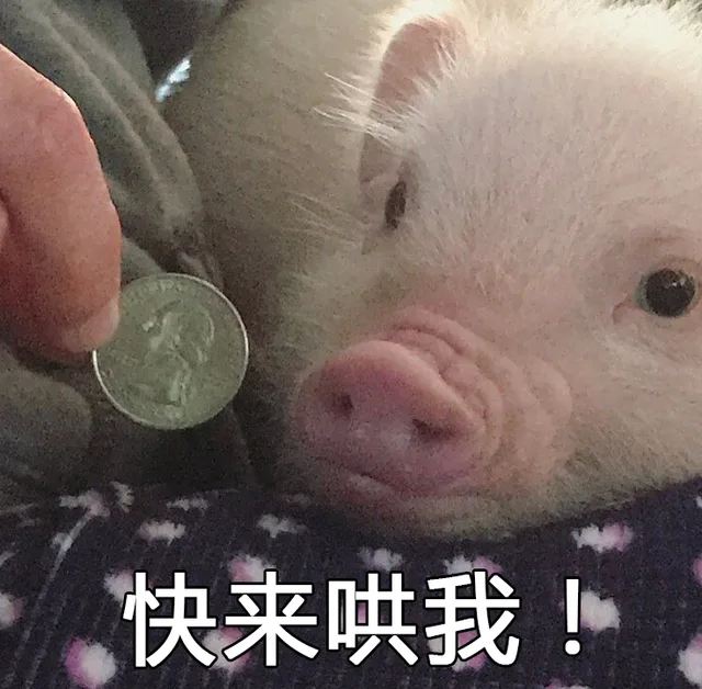 快来哄我！（快来哄我！）