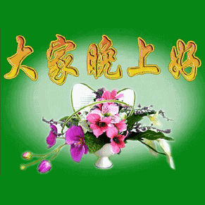 大家晚上好