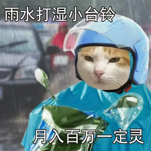 雨水打湿小台铃月入百万一定灵（雨水打湿小台铃月入百万一定灵）