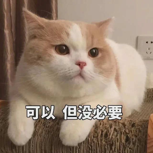 可以 但没必要