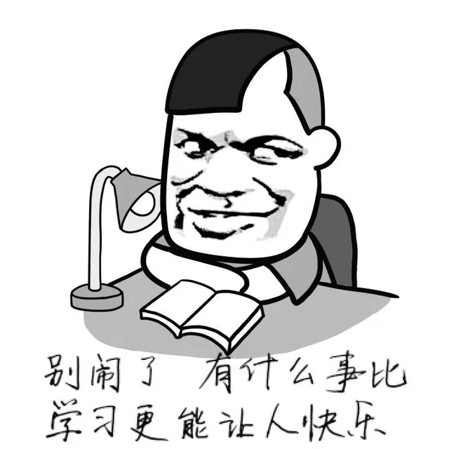 别闹了，有什么事比学习更能让人快乐的