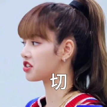 切（Lisa表情包）