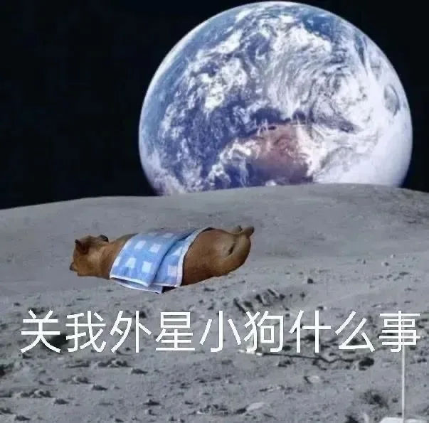 关我外星小狗什么事（关我外星小狗什么事）