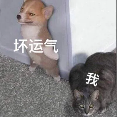 坏运气 VS 我