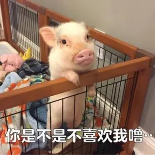 你是不是不喜欢我惹