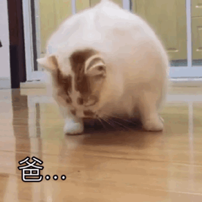 爸 妈！（爸 妈！）