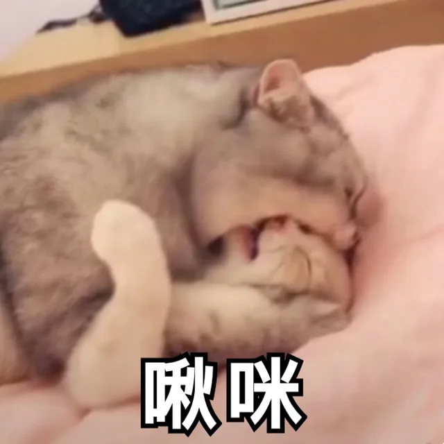 啾咪，大口亲亲