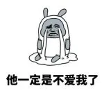 他一定是不爱我了