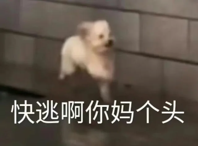 快逃啊你妈个头（快逃啊你妈个头）