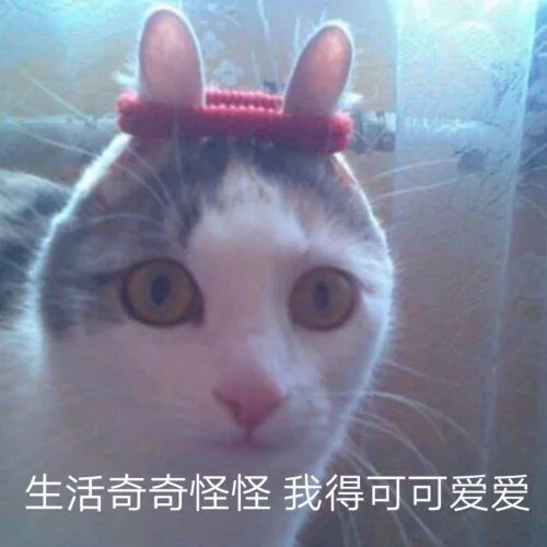 生活奇奇怪怪 我得可可爱爱（生活奇奇怪怪 我得可可爱爱）