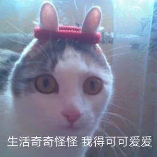 生活奇奇怪怪 我得可可爱爱