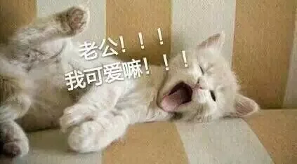 老公！！！我可爱嘛！！（老公！！！我可爱嘛！！）