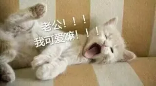 老公！！！我可爱嘛！！