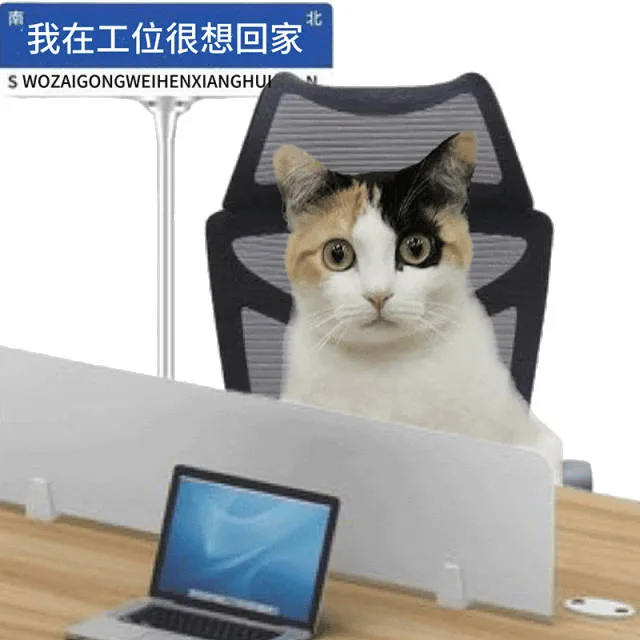 南北我在工位很想回家S WOZAIGONGWEIHENXIANGHU（南北我在工位很想回家S WOZAIGONGWEIHENXIANGHU）
